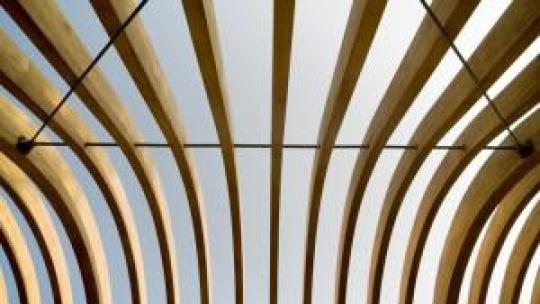 Accoya