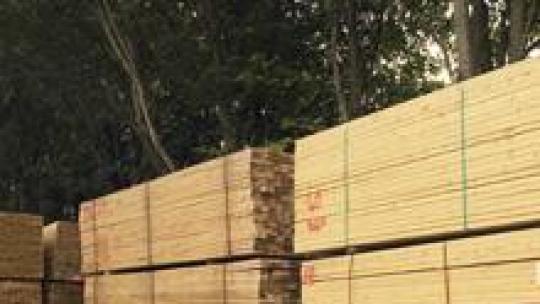 Treated construction timber.
