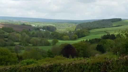 Devon Countryside