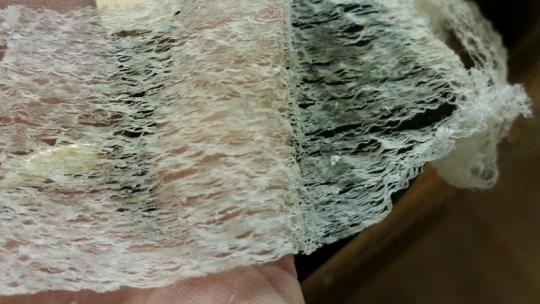 WoodRiver Plane Shavings