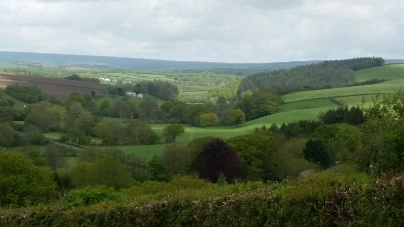 Devon Countryside