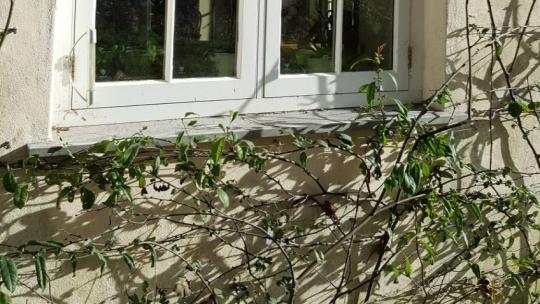 Slim Double Glazed Windows