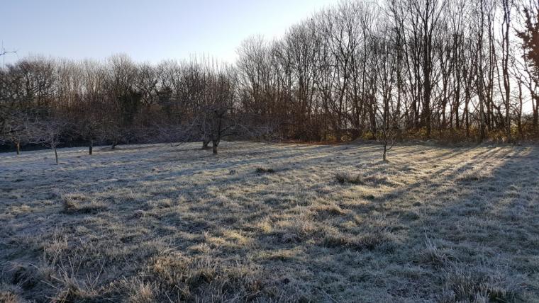 Frosty Morning South Molton