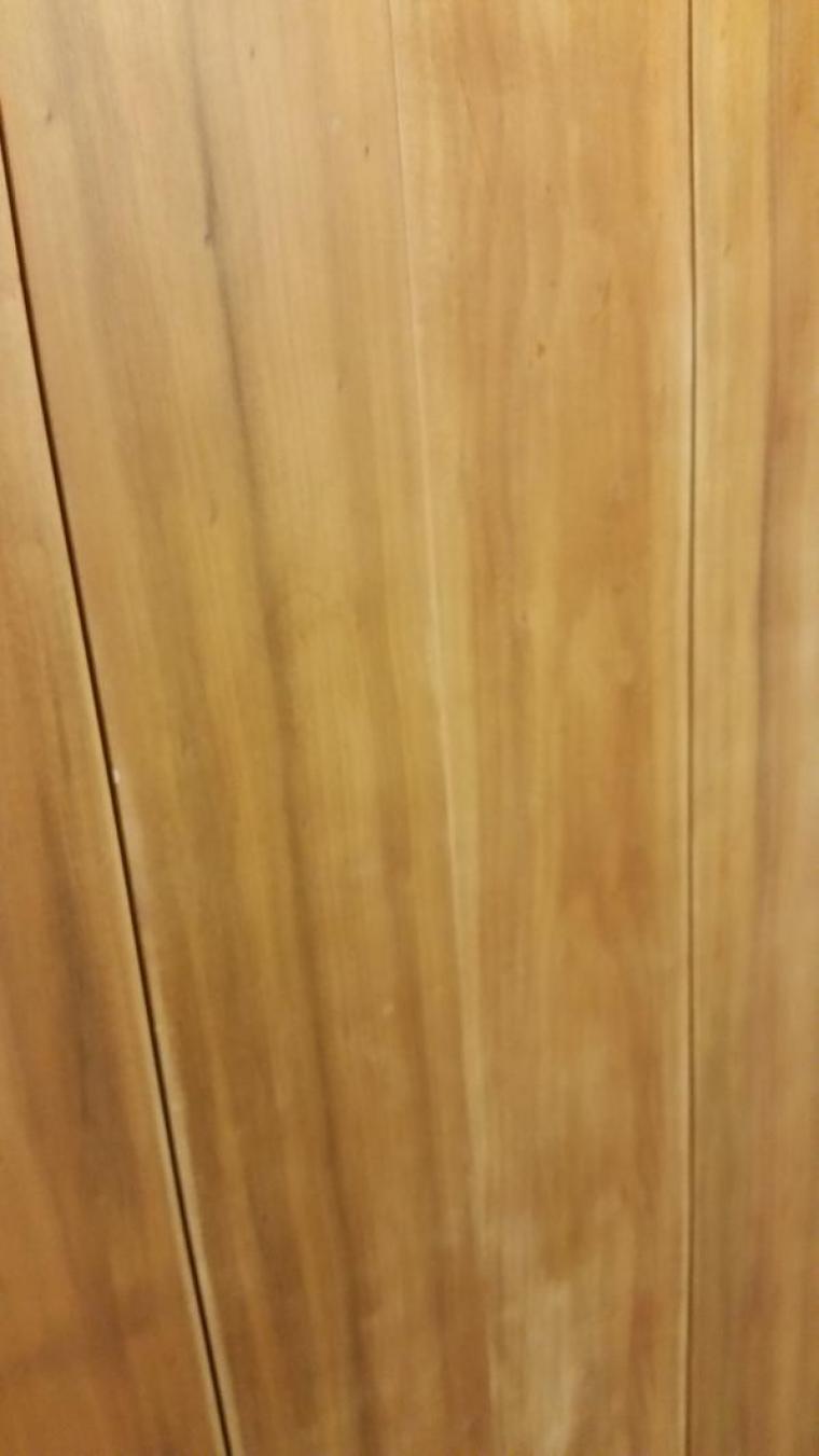 Parana Pine Why We Keep This Wood By G S Haydon Parana Pine Why We Keep This Wood By G S Haydon