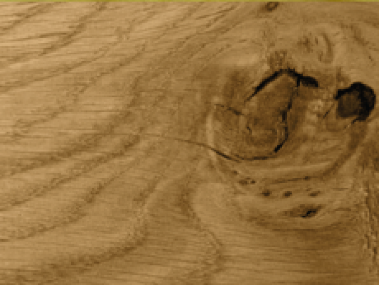 5 Facts About Oak and Its Use in Joinery and Carpentry