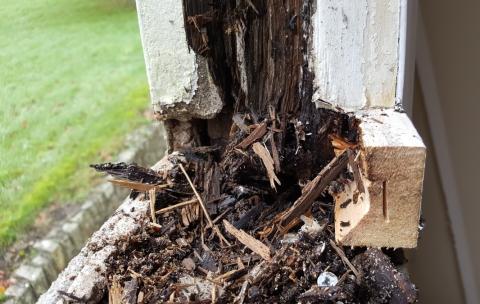 Rotten Sash Box