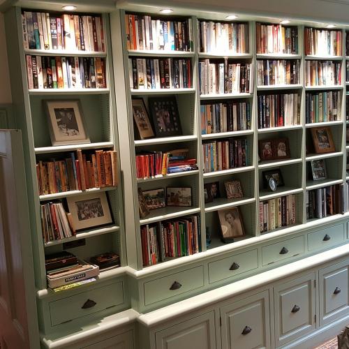 Bespoke Bookcase Devon