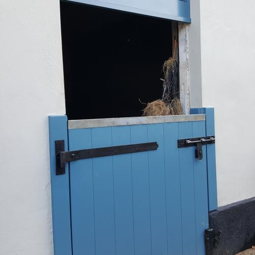 Horse Stable Door